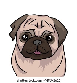  pug dog icon isolated on white background. Vector illustration