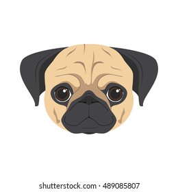 Pug dog isolated on white background vector illustration