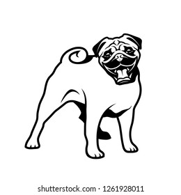 Pug dog - isolated vector illustration