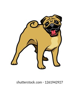 Pug dog - isolated vector illustration