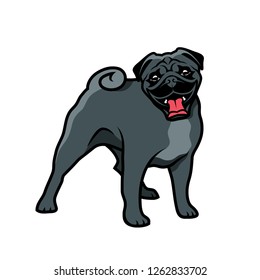 Pug dog - isolated vector illustration