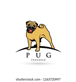 Pug dog - isolated vector illustration