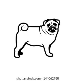 Pug dog isolated - vector illustration