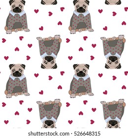 Pug dog  in jumper with hearts pattern seamless on white background. Vector illustration