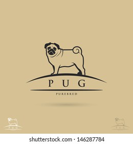 Pug dog label - vector illustration