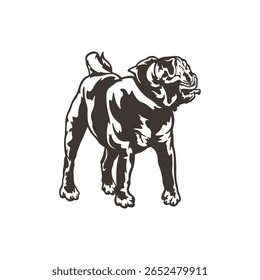 Pug Dog logotipo design vetor. Silhueta Pug Dog modelo ilustração. Símbolo de ícone