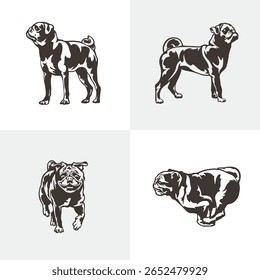 Pug Dog logotipo design vetor. Silhueta Pug Dog modelo ilustração. Símbolo de ícone
