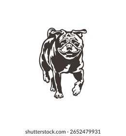 Pug Dog logotipo design vetor. Silhueta Pug Dog modelo ilustração. Símbolo de ícone
