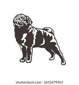 Pug Dog logotipo design vetor. Silhueta Pug Dog modelo ilustração. Símbolo de ícone