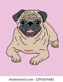 Pug Dog Lying Down Front View
