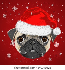 pug dog merry christmas and happy new year