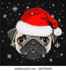 pug dog merry christmas and happy new year