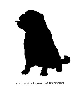 Pug Dog on the move. Dog in different poses. jumps runs. The dog is sitting. The dog is lying down playing