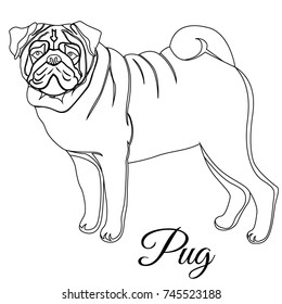 Pug dog outline vector illustration