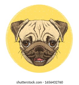 Pug dog portrait emblem, hand drawn vector illustration with cute pug dog face