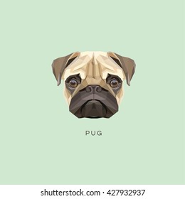 Pug dog portrait vector illustration in modern geometric style isolated on green background