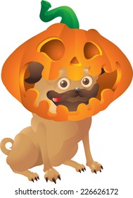 Pug dog with pumpkin head