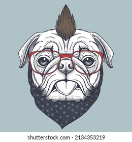 Pug dog punk hand drawn wearing a red glasses and bandana polka dot for your company or brand