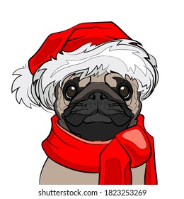 Pug dog in a red Santa hat on white background. Vector illustration.