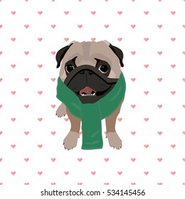 The pug dog with scarf. Illustration.