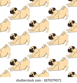 Pug dog seamless pattern on the white background. Vector illustration