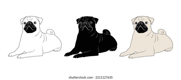 Pug dog set. Dog healthy silhouette and poses background. Vector illustration. Flat style dogs collection. Cartoon dogs breeds set. Illustration isolated