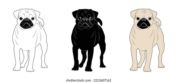 Pug dog set. Dog healthy silhouette and poses background. Vector illustration. Flat style dogs collection. Cartoon dogs breeds set. Illustration isolated