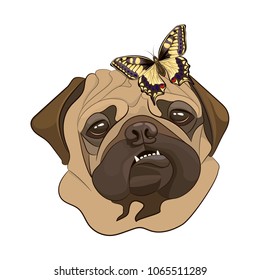 Pug dog showing teeth. Portrait, dog head, template, icon. Vector illustration.