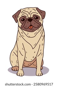 Pug dog sitting cartoon style adorable pet illustration with beige fur brown ears and tongue out against white background