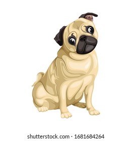 Pug Dog In Sitting Pose Vector Illustration Isolated On White Background
