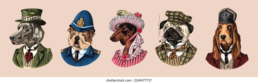 Pug Dog dog smokes cigar in suit. English Bulldog policeman. Herding and Bloodhound and German Shorthaired Pointer and Dachshund. Fashion Animal character in clothes. Engraved Hand drawn sketch.