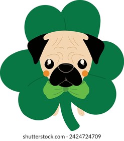 Pug dog St Patrick's Day costume