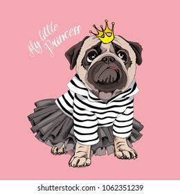 Pug Dog in a striped cardigan, in a black tutu skirt and with a gold princess crown on a pink background. Vector illustration.