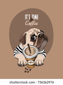 Pug Dog in a striped cardigan and with a plastic cup of a coffee. Vector illustration.