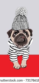 Pug Dog in a striped cardigan and in a winter knitted hat with a pom pom. Vector illustration.