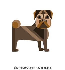 pug dog vector breed illustration purebred animal