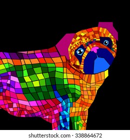 pug dog vector breed illustration purebred animal cartoon graphic