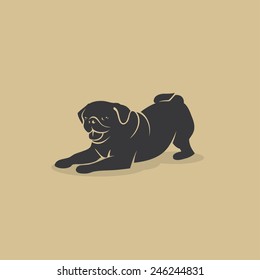 Pug dog - vector illustration