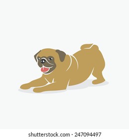 Pug dog - vector illustration