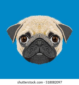 pug dog vector illustration