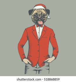 Pug dog vector illustration Christmas costume. Pug dog in human suit and Santa hat