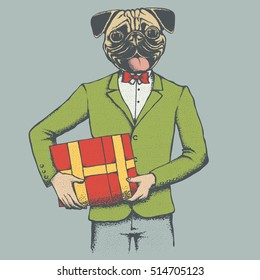Pug dog vector illustration. Pug dog in human suit. Adorable Chinese pug dog with gift