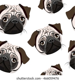 Pug Dog. Vector pattern with pug-dog.