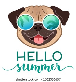 Pug dog wearing mirror sunglasses with palm trees reflection, with Hello Summer text vector illustration. Funny humorous lifestyle, summer holidays, resort, tropical vacation theme design element.