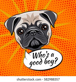 Pug dog. Who is a good boy. Vector illustration isolated on pop art background