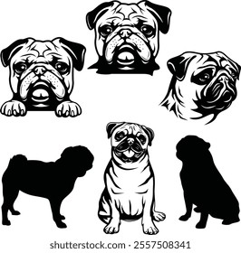 Pug Dogs Pet Set Bundle