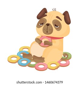 Pug with donuts. Vector illustration on white background.