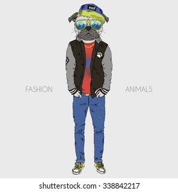 pug dressed up in hip hop style, furry art illustration