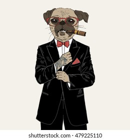 pug dressed up in tuxedo, anthropomorphic illustration, fashion animals