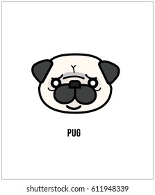 Pug face isolated on white background